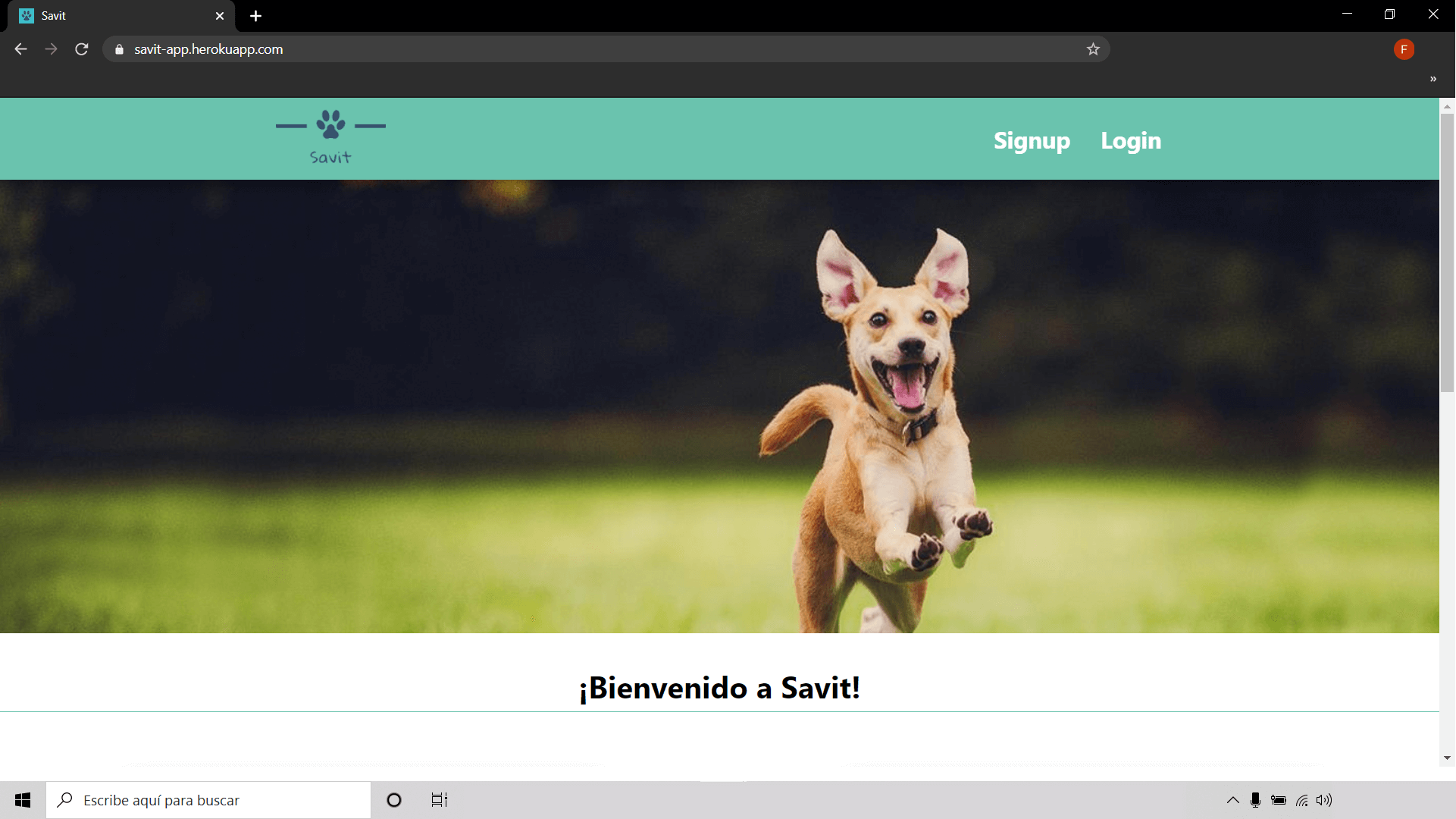 savit web screenshot